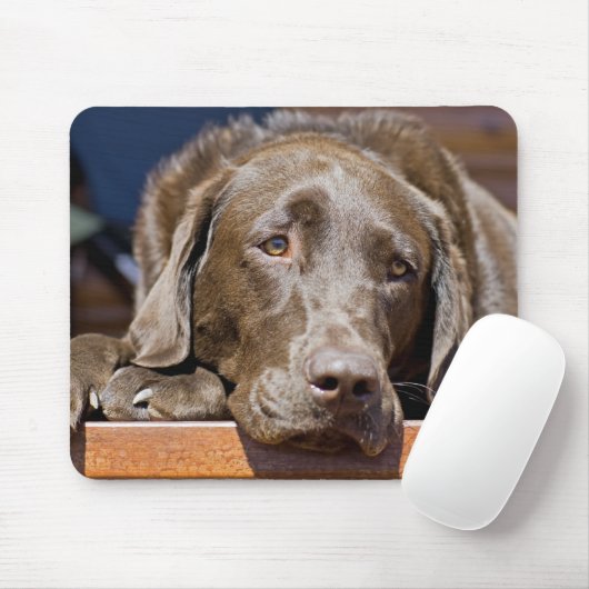 Niedlich Schokolade Brauner Labrador Retriever Mousepad (Mit Mouse)