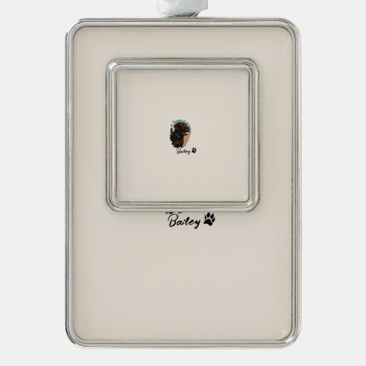 Niedlich Schokolade Labrador Hund - Bailey | Haust Rahmen-Ornament Silber (Vorderseite)