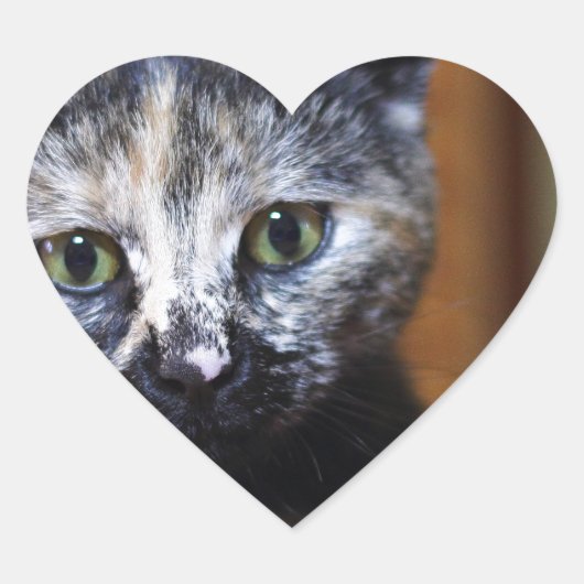 Niedlich Schwarz-Weiß-Kitten Herz-Aufkleber (Vorderseite)