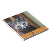 Niedlich Schwarz-Weiß-Kitten Notizblock (angewinkelt)