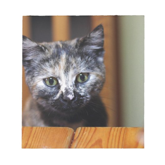 Niedlich Schwarz-Weiß-Kitten Notizblock (Vorderseite)