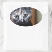 Niedlich Schwarz-Weiß-Kitten Ovaler Aufkleber (Tasche)