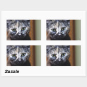 Niedlich Schwarz-Weiß-Kitten Rechteckiger Aufkleber (Blatt)