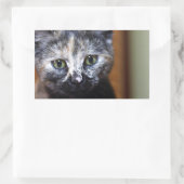 Niedlich Schwarz-Weiß-Kitten Rechteckiger Aufkleber (Tasche)