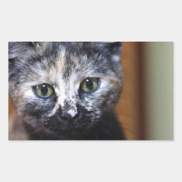 Niedlich Schwarz-Weiß-Kitten Rechteckiger Aufkleber