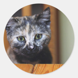 Niedlich Schwarz-Weiß-Kitten Runder Aufkleber