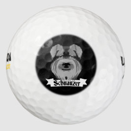 Niedlich Schwarz-Weiß-Schnauzer Golfball