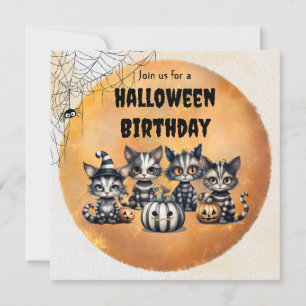 Niedlich Schwarz-Weiß-Strick Halloween Kitten Einladung