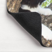 Niedlich Schwarz-Weiß-Tuxedo Kitten Mousepad (Ecke)