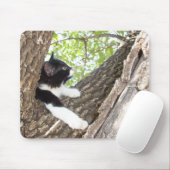 Niedlich Schwarz-Weiß-Tuxedo Kitten Mousepad (Mit Mouse)
