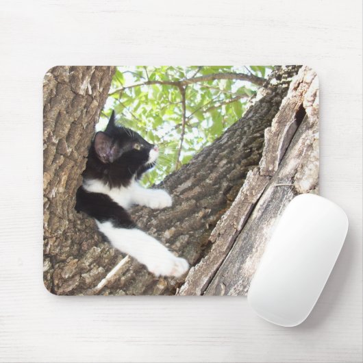 Niedlich Schwarz-Weiß-Tuxedo Kitten Mousepad (Mit Mouse)
