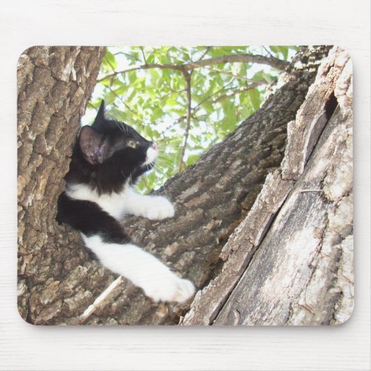 Niedlich Schwarz-Weiß-Tuxedo Kitten Mousepad (Vorne)