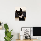 Niedlich Schwarz-Weiß Tuxedo Kitten Poster (Heimbüro)