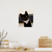 Niedlich Schwarz-Weiß Tuxedo Kitten Poster (Küche)