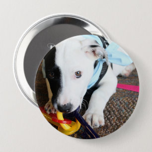 Niedlich Schwarz-Weiß-Welpe Button