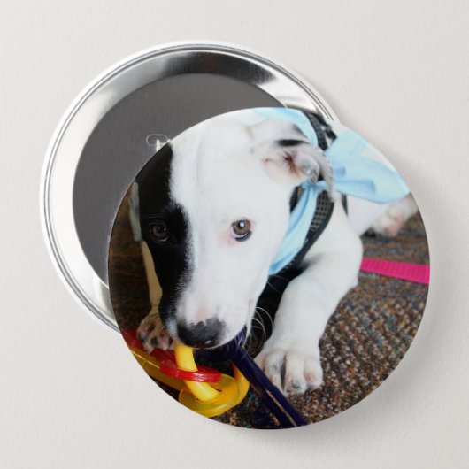 Niedlich Schwarz-Weiß-Welpe Button (Vorne & Hinten)