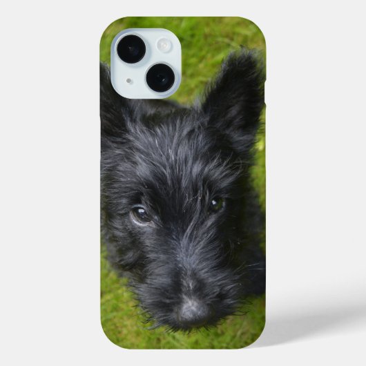 Niedlich Scottie Puppy Face Case-Mate iPhone Hülle (Rückseite)
