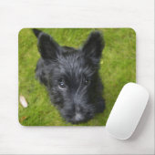Niedlich Scottish Terrier Puppy Mousepad (Mit Mouse)