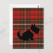 Niedlich Scotty Dog & Red Tartan Postkarte (Vorne/Hinten)