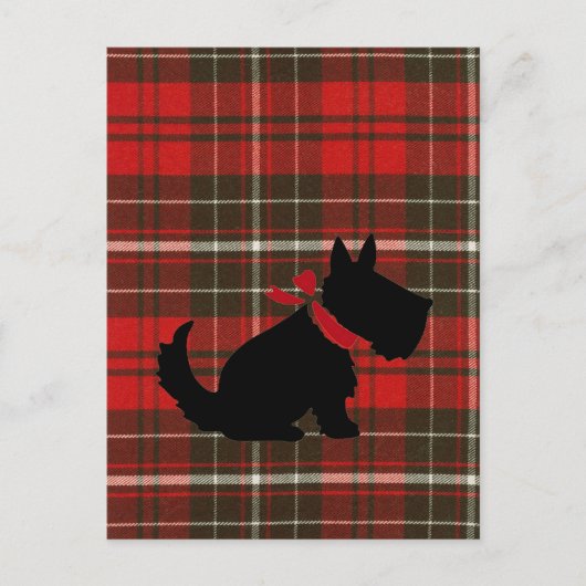 Niedlich Scotty Dog & Red Tartan Postkarte (Vorderseite)