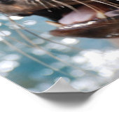 Niedlich Sea Lion Poster (Ecke)