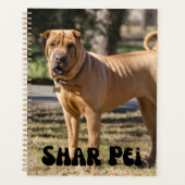 Niedlich Shar Pei Welppy Calendar Planer (Vorderseite)