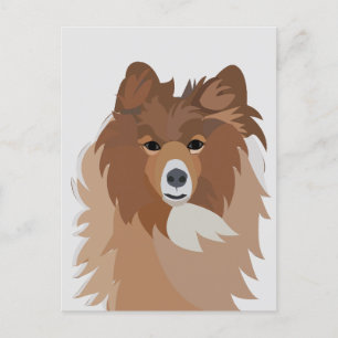 Niedlich Sheltie Dog Art Postkarte