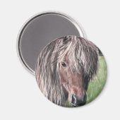 Niedlich Shetland Pony Magnet (Vorderseite/Rückseite)