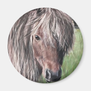 Niedlich Shetland Pony Magnet