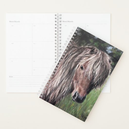 Niedlich Shetland Pony Planer (Anzeige)