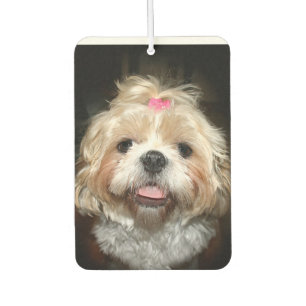 Niedlich Shih Tzu-Gesicht Autolufterfrischer