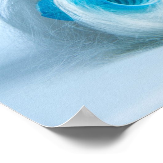 Niedlich Shih Tzu Poster (Ecke)