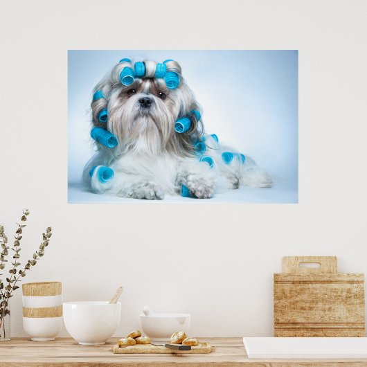 Niedlich Shih Tzu Poster (Küche)