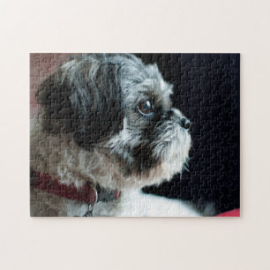 Niedlich Shih Tzu Puzzle
