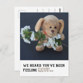 Niedlich Sick Teddy Dog gut Postkarte (Vorne/Hinten)