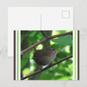 Niedlich Singing Wren DIY Postcard Postkarte (Vorne/Hinten)