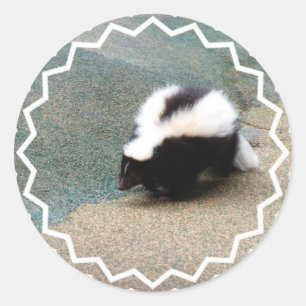 Niedlich Skunk Sticker