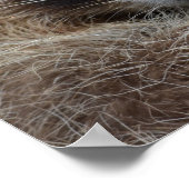 Niedlich Sleepy Raccoon Foto Poster (Ecke)