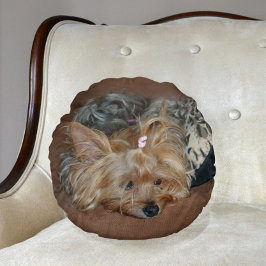 Niedlich Sleepy Yorkshire Terrier Yorkie Puppy Rundes Kissen