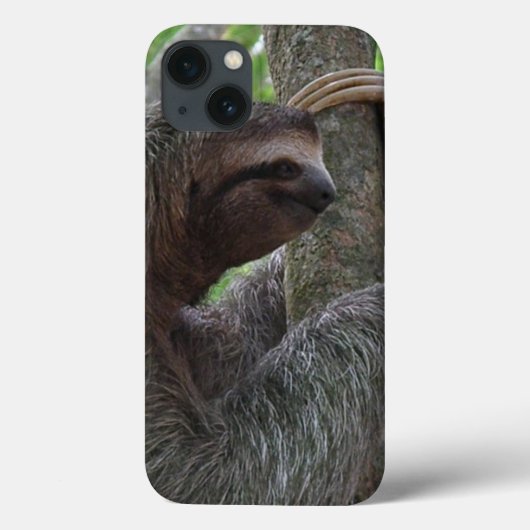Niedlich Sloth Case-Mate iPhone Hülle (Rückseite)
