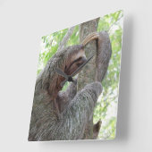 Niedlich Sloth Quadratische Wanduhr (Winkel)