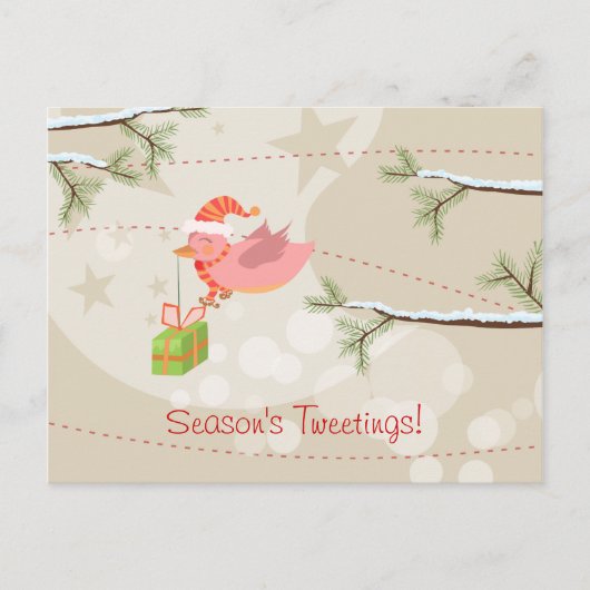 Niedlich Snow Bird Weihnachtspostkarte Feiertagspostkarte (Vorderseite)
