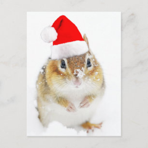 Niedlich Snowy Santa Chipmunk Feiertagspostkarte