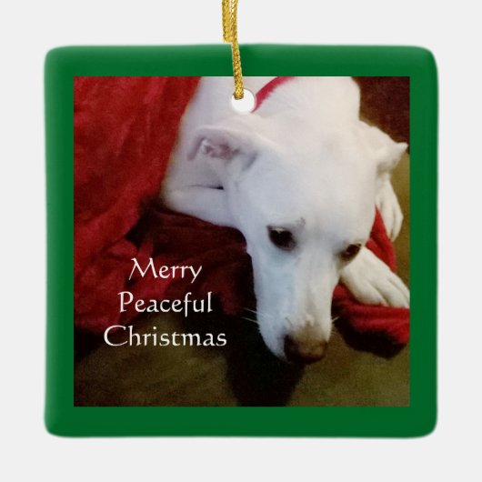 Niedlich Snowy White Puppy Dog Weihnachten Grün Keramikornament (Vorderseite)