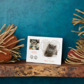 Niedlich Soft Kitten Angel Fotoplatte (Seite)