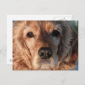 Niedlich Spanisch Postcard Postkarte (Vorne/Hinten)