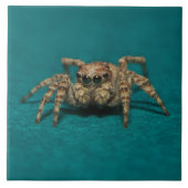 Niedlich Spider Big Eyes Foto Fliese (Vorderseite)