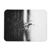 Niedlich Spider Tangled Weave | Spider Lover Gesch Magnet (Horizontal)