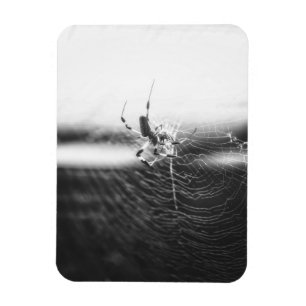 Niedlich Spider Tangled Weave   Spider Lover Gesch Magnet