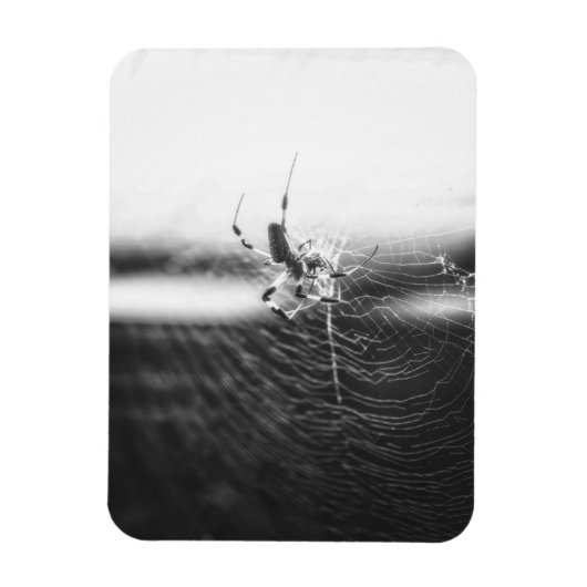 Niedlich Spider Tangled Weave | Spider Lover Gesch Magnet (Vertikal)